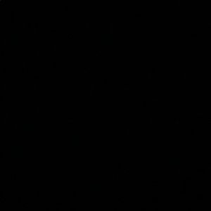 Meet your Posher, Sarunesis